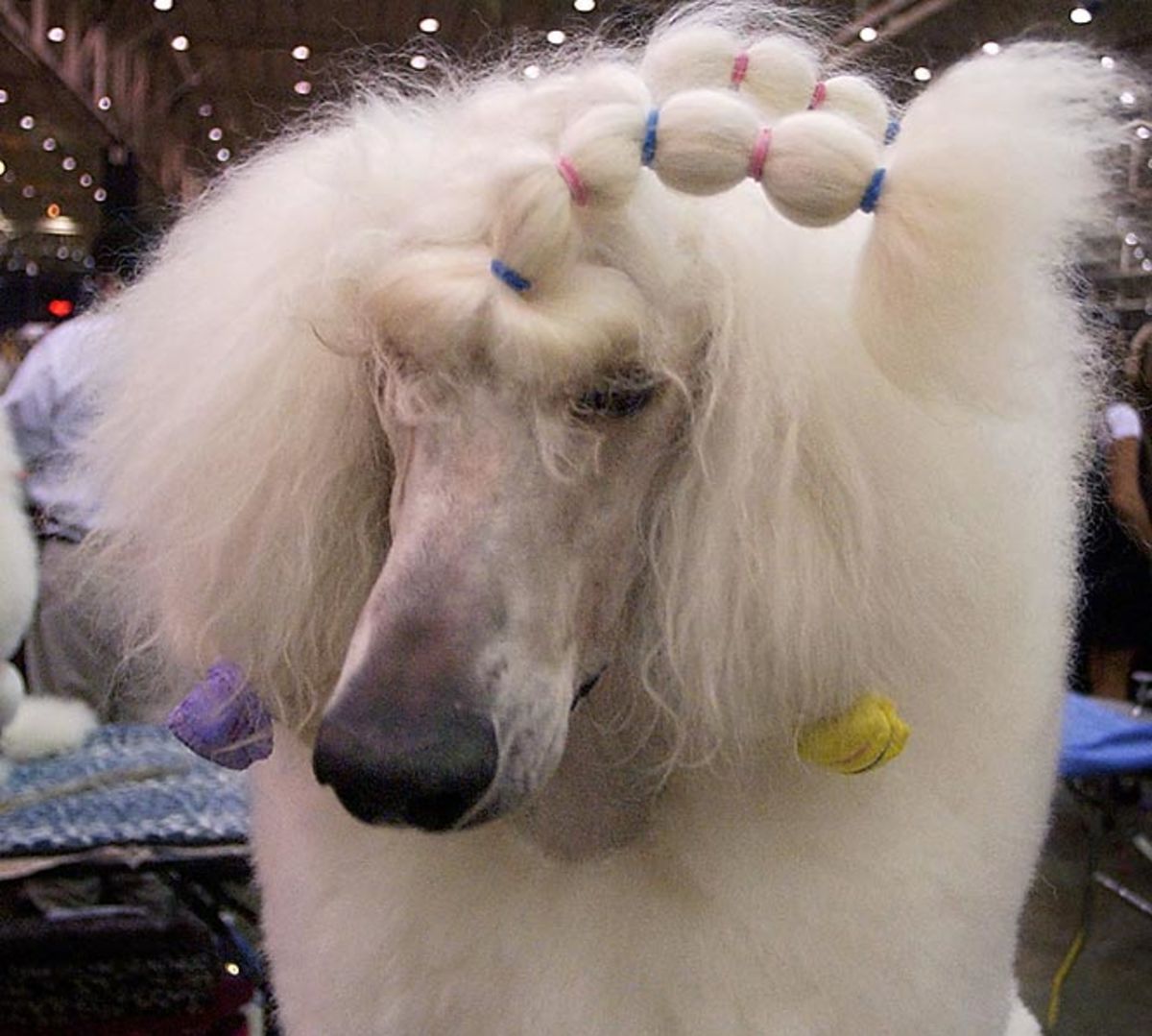 2002_S_ON_.jpg